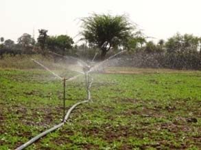 rainwater-06_0.jpg 
