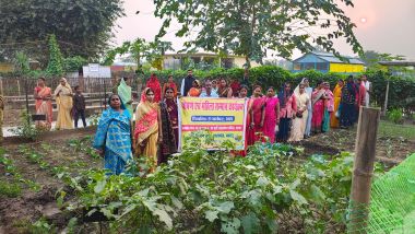 From Fields to Fortune: Diversification Tips to Strengthen Women in Agriculture