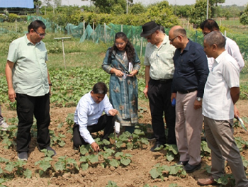 IoT-enabled Soil Monitoring System established in ICAR-RCER, Patna