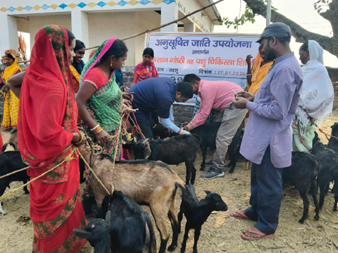 Poverty to Prosperity: ICAR–RCER-KVK Ramgarh Transforming Farmers’ Livelihood in Udlu Village