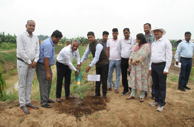 ICAR-RCER IRC Concludes with Comprehensive Scientific Deliberations, Emphasising “One Team, One Task”