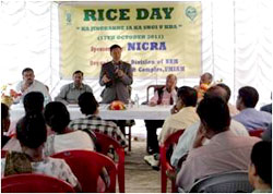 rice-day-18-10-2011