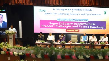 Stakeholder Workshop Highlights Need for Healthy Sugarcane Seed Production and Sectoral Reforms at ICAR-SBI, Coimbatore