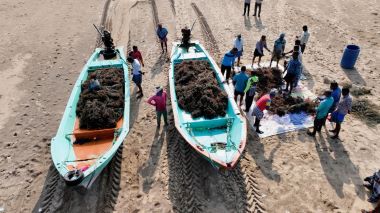 Maiden Seaweed Harvest in Puducherry Emerges as a Major Success under ICAR–CMFRI’s Guidance