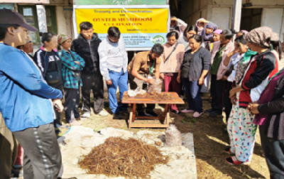 From Jhum to Mushroom: How Oyster Mushroom Farming is Transforming Livelihoods in Longleng