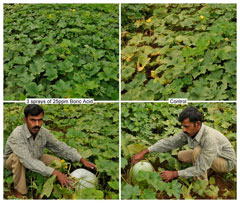 ss-16-11-2012-1