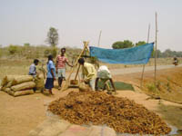 ss-naip-10-07-2012-1