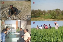ss-soingofwheat-01_0.jpg 