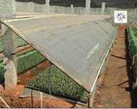  sucess-story-Quality-Seedlings4_0.jpg