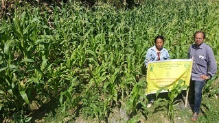 swwetcorn-03