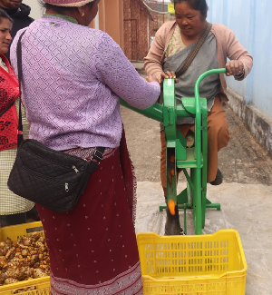Manually Operated Turmeric Slicer