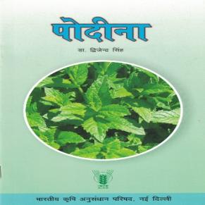 पोदीना