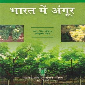 भारत में अंगूर