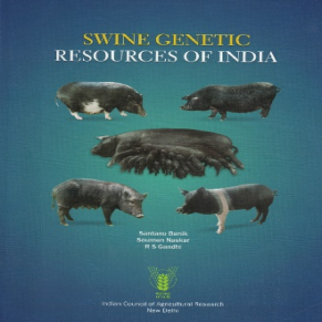 Swine Genetic Resources of India