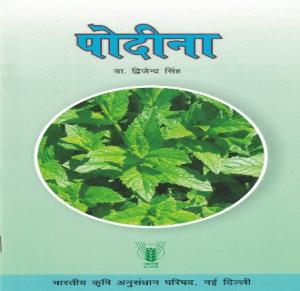 पोदीना