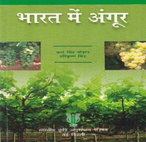 भारत में अंगूर