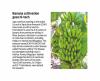 PIB-Pressclippings-Agri-03-07-2019-16