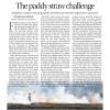 The-paddy-sraw-challenge
