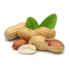 Groundnut-IFC
