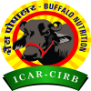 Buffalo Nutrition