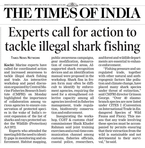 Experts call for action to tackle illegal shark fishing