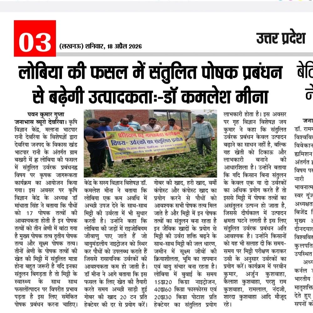 लोबिया की फसल में संतुलित पोषक प्रबंधन से बढ़ेगी उत्पादकताः-डॉ कमलेश मीना