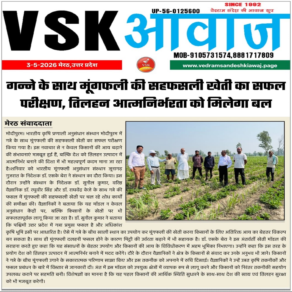 गन्ने के साथ मूंगफली की सहफसली खेती का सफल परीक्षण, तिलहन आत्मनिर्भरता को मिलेगा बल