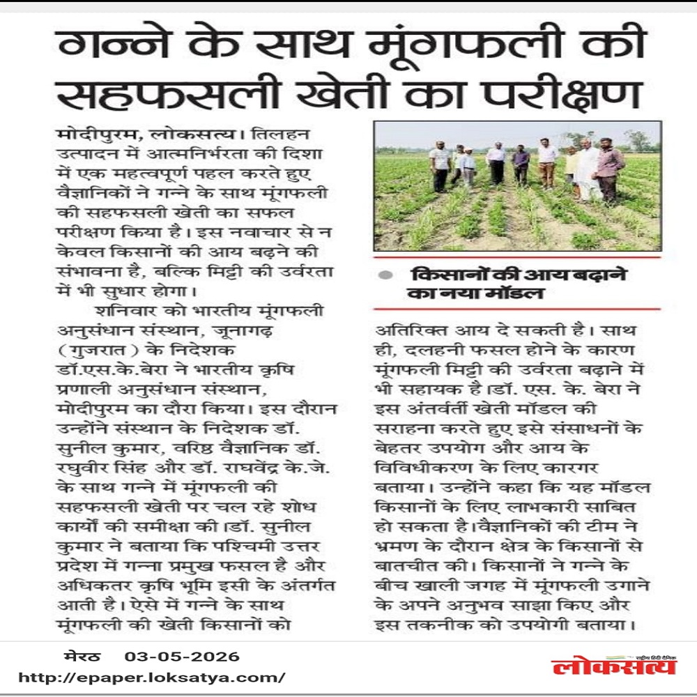 गन्ने के साथ मूंगफली की सहफसली खेती का परीक्षण