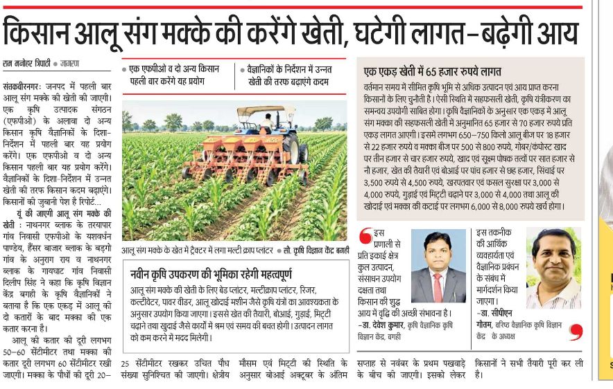 किसान आलू संग मक्के की करेंगे खेती, घटेगी लागत-बढ़ेगी आय