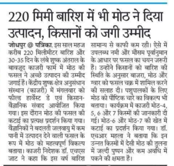 220 मिमी बारिश में भी मोठ ने दिया उत्पादन, किसानों को जगी उम्मीद