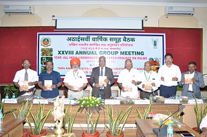 28thaicrpreport-012019