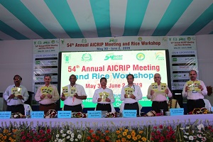 54-ARGM-publication-release