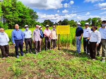 ADG-Agronomy-Agroforestry-Climate-Change-ICAR-visits-ICAR-DWR-Jabalpur-02
