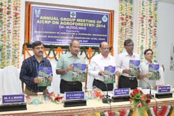 AICRP-AF-01-08-2014-1