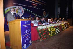 ASC-2015-4.jpg