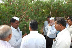 AZW-KVK-ZoneV-1-28-06-2012-2