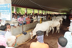 Agriculture_01.jpg
