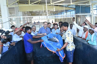 Animal-Husbandry-Dairying-lauds-NBFGR-01_0.