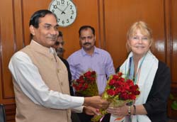 BI-ICAR-workplan-2018-2