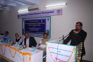 Brain_storming_8-3-14_bikaner__2