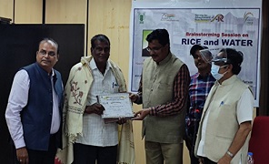 Brainstorming-Session-on-Rice-and-Water-organized-01