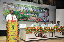 CIFA-FishD-10-07-14-1