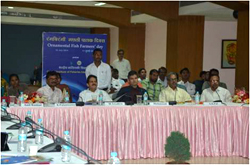 CIFE-FishD-10-07-14-1