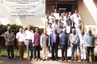 CRP-Vaccines-Diagnostics-01_1