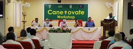 Cane-ovate-Workshop-02