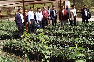 Clean-Plant-interacted-stakeholders-ICAR-CCRI-02_1