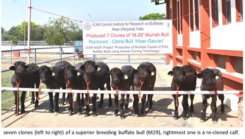 Cloned group photo.jpg