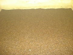 Compost-with-CN-ratio-of-30-is-to-01