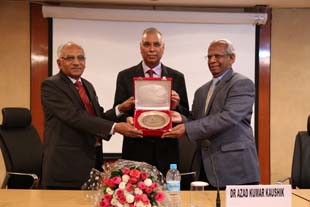 Cow Mega-01-28012015.jpg