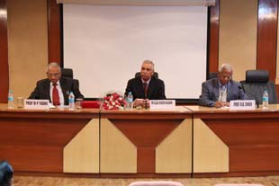 Cow Mega-02-28012015.jpg